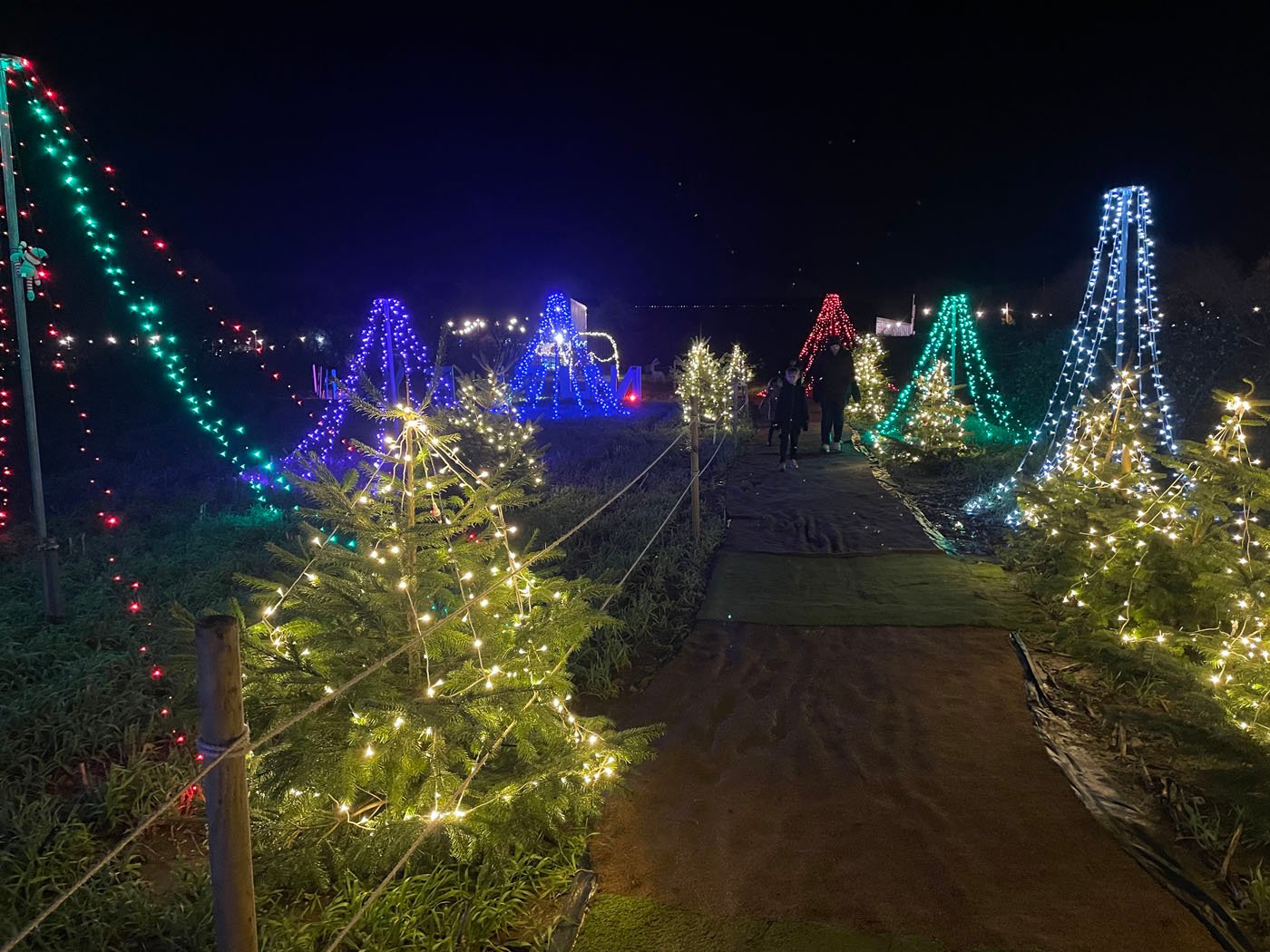 Christmas Lights and Reindeer Experience Nutley Farm Events