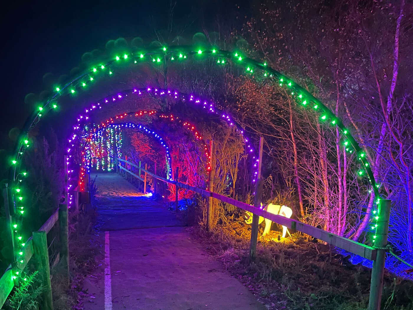 Christmas Lights and Reindeer Experience Nutley Farm Events