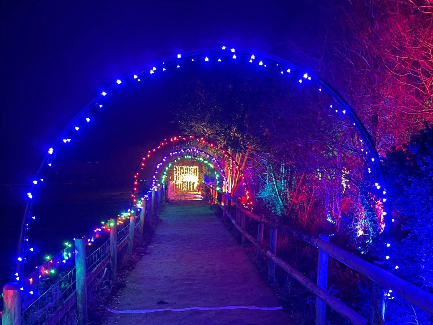 Christmas Lights and Reindeer Experience Nutley Farm Events