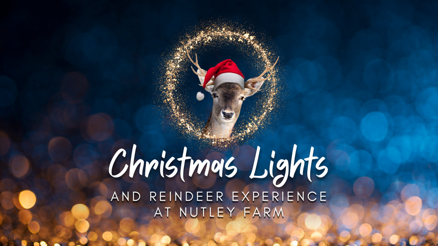 Christmas Lights and Reindeer Experience from Friday 24th November 2023