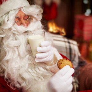 Father Christmas at Nutley Farm