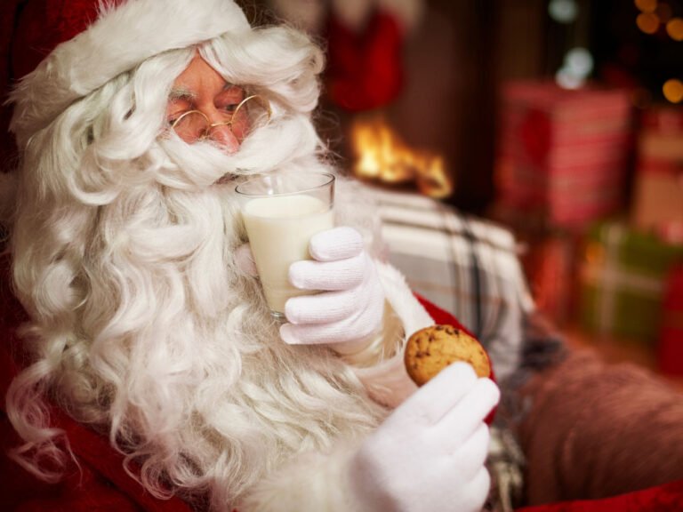 Father Christmas at Nutley Farm