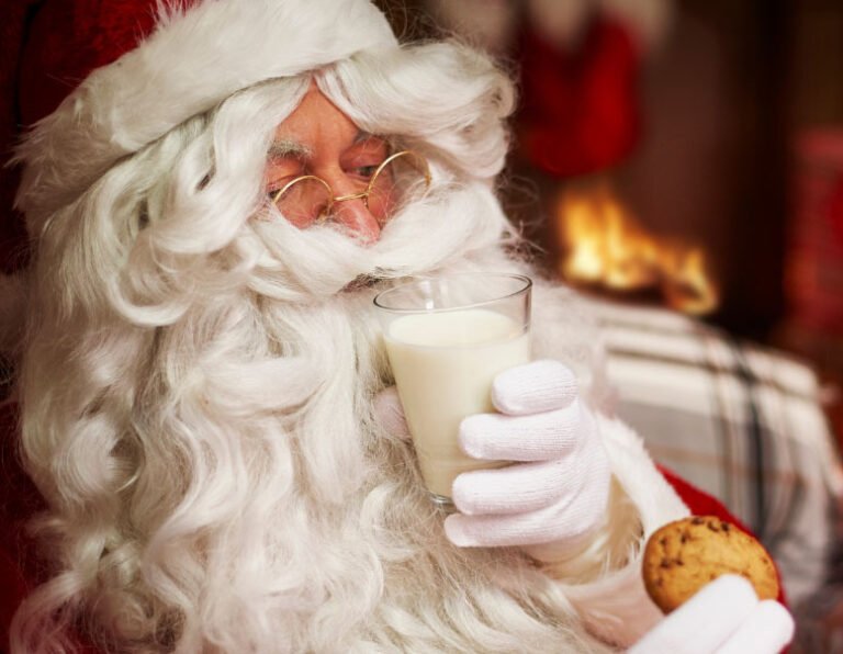 Father Christmas at Nutley Farm
