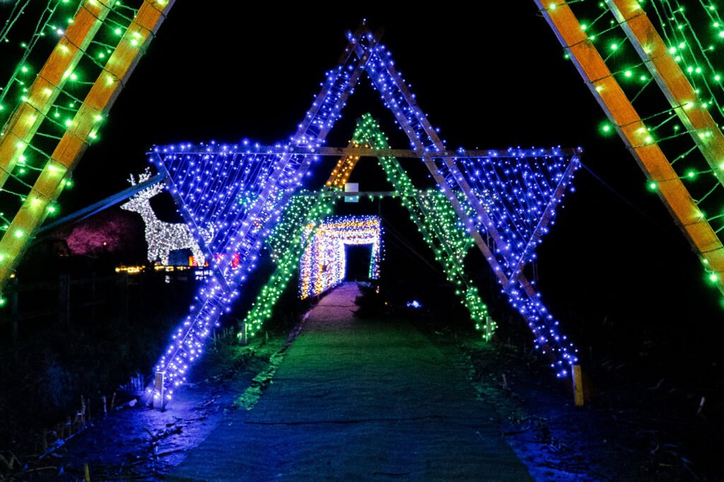 Nutley Farm Christmas Lights