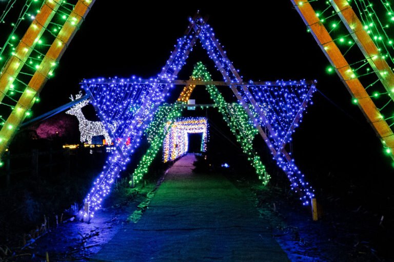 Nutley Farm Christmas Lights